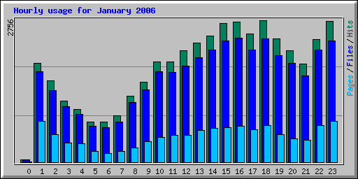 Hourly usage for January 2006